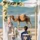 Mariage La Marsa Carthage Tunis – Wedding Luxury Hotel