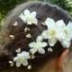 Bridal Hair Flower, Rustic Wedding Hairclip, Woodland Wedding, Country Wedding Hair Accessory