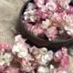 Real petal confetti, hand picked and dried pink and white variegated bougainvillia for favors or table sprinkles