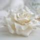 Ivory rose hair clip, Ivory bridal hair flower, Wedding hair flower, wedding flower headpiece, bridal lace headpiece, rose hair, lace hair