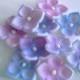 Sugar Flowers Gumpaste hydrangea, Wedding, Christening, 15 Coloured Edible Little  hydrangea Style Flowers Australia