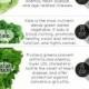 Your Basic Guide To Green Veggies (Infographic)