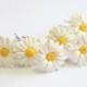Daisies White Flower - Wedding Hair Accessories, Bohemian Wedding Hairstyles Hair Flower - Set 6