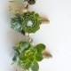 6 Assorted Double Succulent Boutonnieres With Tallow Berry
