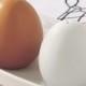 Ceramic Egg Salt & Pepper Shakers Wedding Favors
