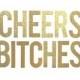 Cheers Bitches Banner // Bachelorette Party Decoration // Cheers Bitch Sign // Birthday Banner