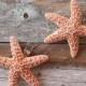 Small SET of Traditional Starfish Hair Clips