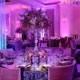 Platinum Weddings Gallery - Dream Design Weddings