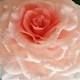 Giant Paper flower/ Pink paper Rose/ Large paper flower/ Bridal shower/ Wedding Paper flower/ Big paper rose uk/ Giant Glamelia/ Bridal Rose