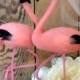 BIG big big SALE WEDDING 2016 Keep it simple flamingo Tropical destination wedding flamingos cake topper