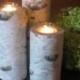 10",8",6" Beautiful Birch Votive Candleholders  Wedding Centerpieces, Bridal Showers, Garden Party Candles