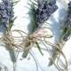 Lavender and Rosemary Boutonniere