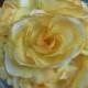 Rustic yellow rose wedding bouquet. Country wedding. Shabby chic