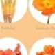 Our Favorite: Orange Flowers - Flower Muse Blog