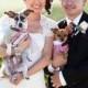 Wedding Clothing, Accessories And Decor For Dogs