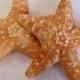 Six edible gumpaste Starfish, white or colored,  for cake decorating edible starfish, sugar seashells, edible seashells