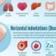 Fingernails And Your Health [Infographic]