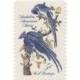 10 Unused Vintage Postage Stamps - 1963 5c John James Audubon - Item No. 1241