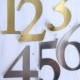 Gold or Silver Number Stickers, Wedding Table Numbers, Craft Numbers, DIY Table Number, Wine Bottle Table Numbers, Wedding Sticker, N001