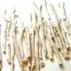 Edible Vanilla Bean Candy, Sticks and Twigs -18- confection embellishment, table scape accoutrement, gifts...