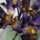 Gumpaste Cymbidium Orchid Cake Decoration Lavender Gum Paste