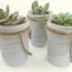 Succulent in White Mason Jar Wrapped in Twine Rustic Vintage Country Wedding Favors