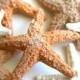 Edible Starfish / Edible Echinoderms / Edible Sea Stars - 16 - cake decoration or stand alone decorative sweet