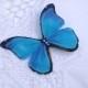 Hand cut silk butterfly hair clip - Turquoise blue Morpho