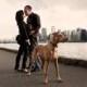Best Of The Best Engagement Photos Adorable Animals