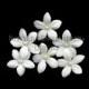 6 Pearl Creamy White Stephanotis Flower Bridal Hair Pins