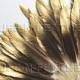 Wholesale / bulk  GOLD tip Natural brown duck feathers, painted feathers - "Gold Dust" / 6-8 in (15-20 cm) long, 60+ pieces /FB172-6GD