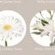 Our Favorite: White Flowers - Flower Muse Blog