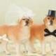Dog Cake Topper Wedding, Bride & Groom, Animal Lover, Pet, Golden Retriever, Unique