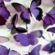 12 x Mixed Purple 3D Transparent Butterflies
