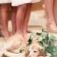 16 Super Cute Dog Wedding Photos