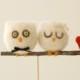 Owl Cake Topper, Wedding, Barn Country, Needle Felted, Romantic, Bride & Groom