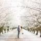 Boho Meets Modern Wedding Shoot In The Almond Orchard - Weddingomania