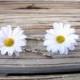 White daisy bobby pins, small daisy hair clips, white hair flowers, daisy wedding, flower girl, rustic country wedding, barn wedding
