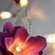 How To DIY Beautiful Flower Lights From Egg Cartons