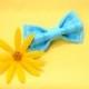 EMBROIDERED bright blue bow tie