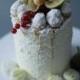 Winter Cake with fruits