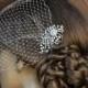 Birdcage Veil ,SWAROVSKI Crystals Hair piece