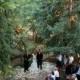 Beautiful Wedding In The Woods