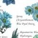 Flower Names By Color