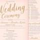 Blush Pink and Gold Wedding Program Fan // Printable Wedding Paddle Fan Program, Modern Calligraphy Wedding Programs