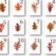 INSTANT DOWNLOAD-Print Your Own-Assorted Brown Oak Leaf Table Numbers-12 Flat Cards 5x7 inches-PDF Format-Autumn Wedding-Thanksgiving etc