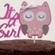 Owl Baby Shower Decorations - It's a Girl Owl Cake Topper - Baby Hoot Theme Woodland Cake Centerpiece -Pink & Grey or ANY Color It's a Girl