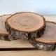 Large Wood Slice 5"-6" Rustic Wood Slice, Large Wood Slice, Wedding Table Display Wood Slab, Rustic Wedding Decor