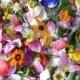 Dried Flower Petals, Dry Flowers, Confetti, Wedding Decorations, Petals, flowers, Decor, Real Flowers, Wedding, Wedding Decor, 6 US cups