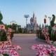 Disney Fairy Tale Wedding Inspiration